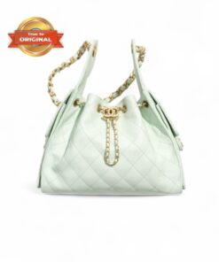 Chanel 25 Small Handbag Light Green 10.2in/26cm